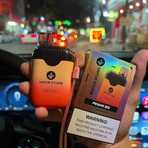 【風暴】超大容量/拋棄式7500口電子煙/台灣現貨原裝正品-蒸汽樂園電子煙